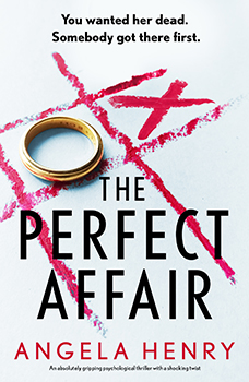 Book Cover: THE PERFECT AFFAIR