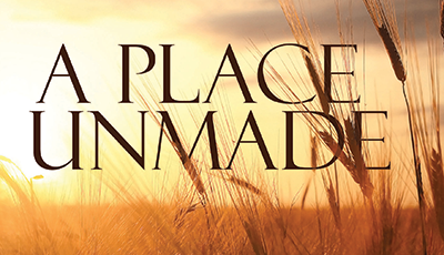 A PLACE UNMADE by Carla Seyler