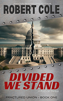 Book Cover: DIVIDED WE STAND